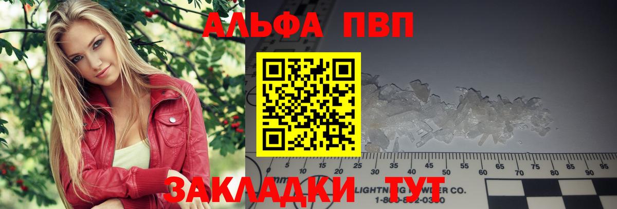 A-PVP СК КРИС Елизово