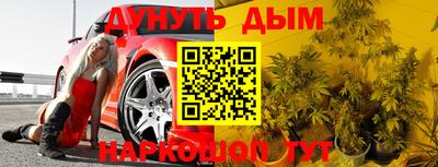 сатива Коммунар