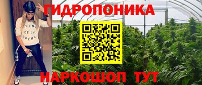сатива Коммунар