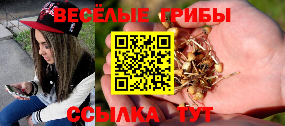 Псилоцибиновые грибы мухоморы  Вход с VPN  Елизово 